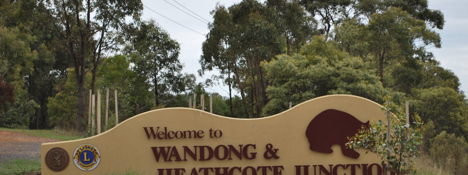 Wandong
