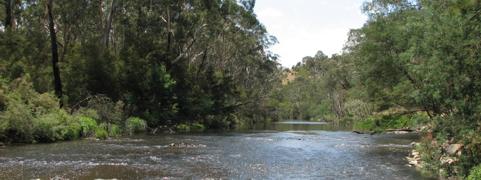 Wonga Park