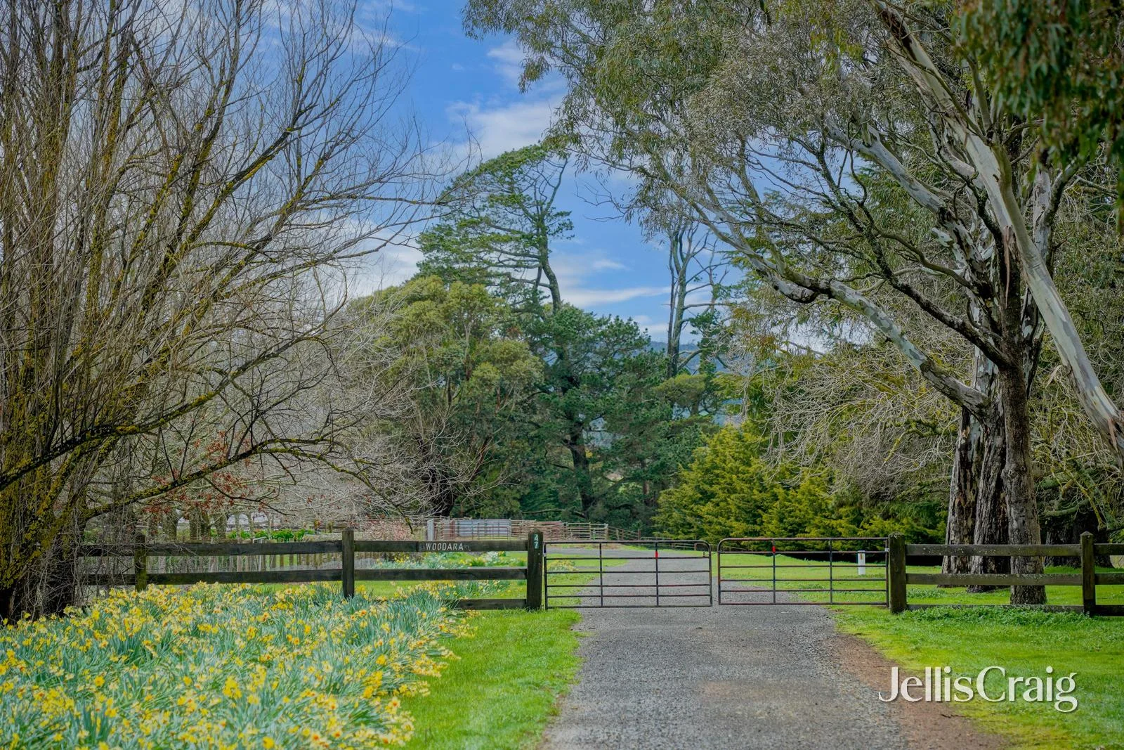 'Woodara' 47 Rowan Road - Image 3