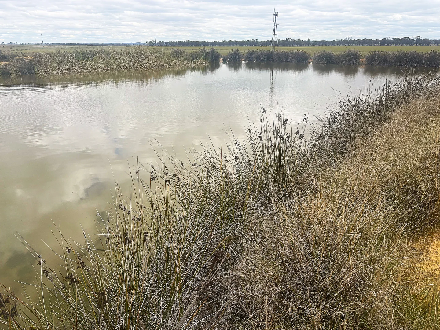 . 'Evandale' - Image 2