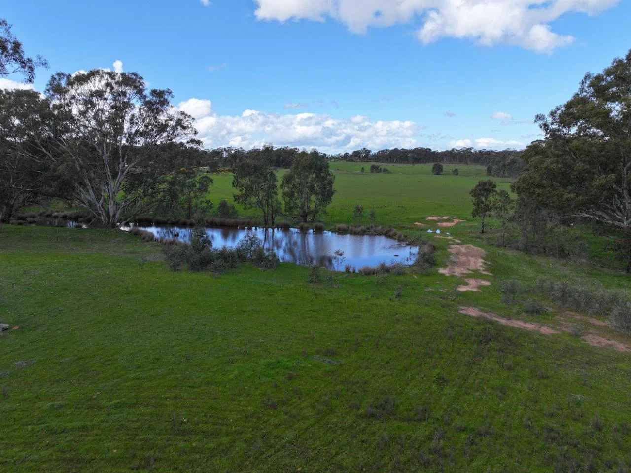 - Bendigo-Tennyson Road - Image 2