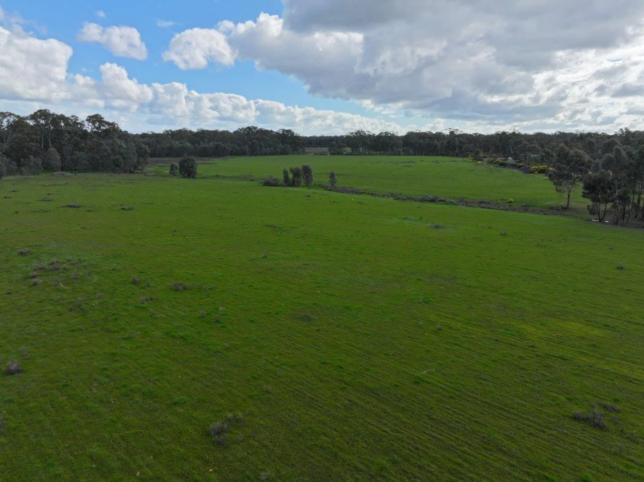 - Bendigo-Tennyson Road - Image 5