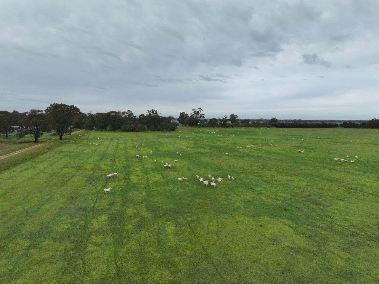 - Drummartin Road - Image 4