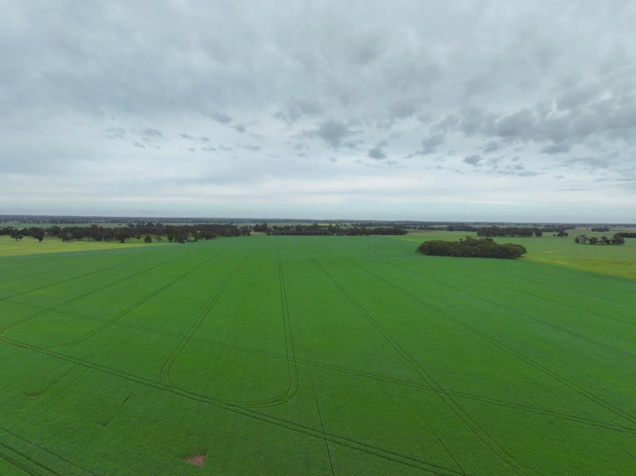 - Drummartin Road - Image 5