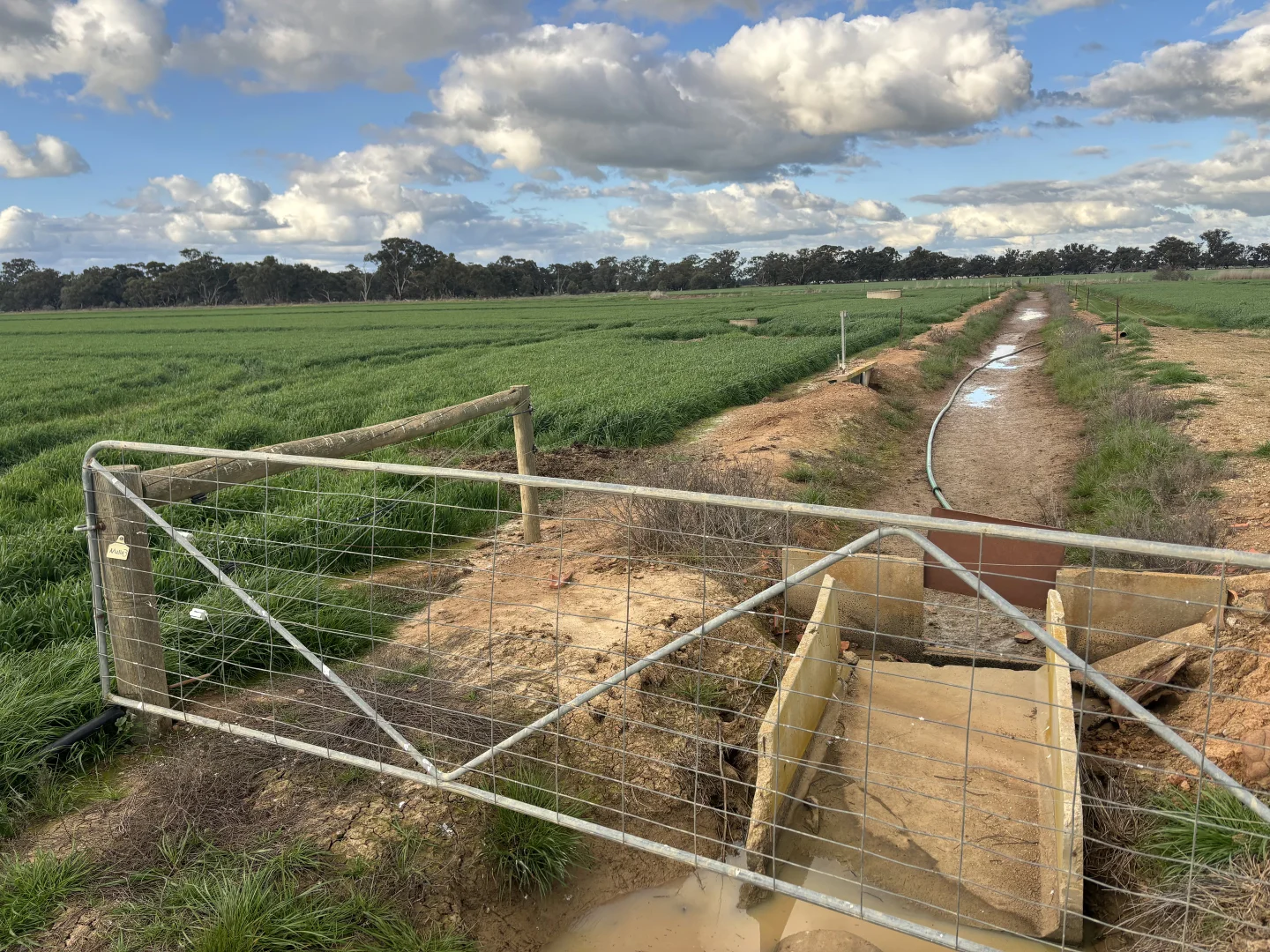 - Hansen Road - Image 2