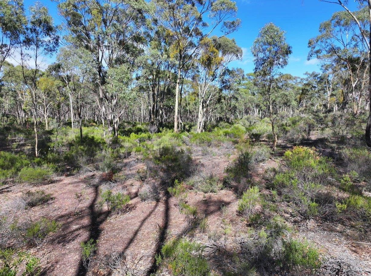 0 Halls Road - Image 5