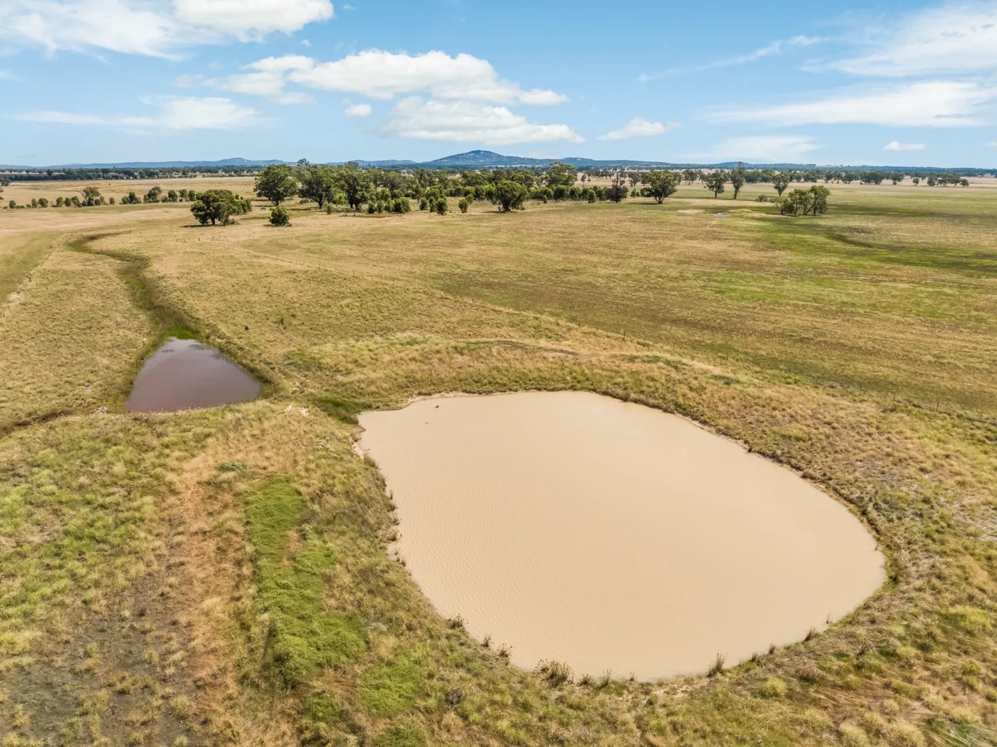 0 Inglewood-Powlett Road - Image 4
