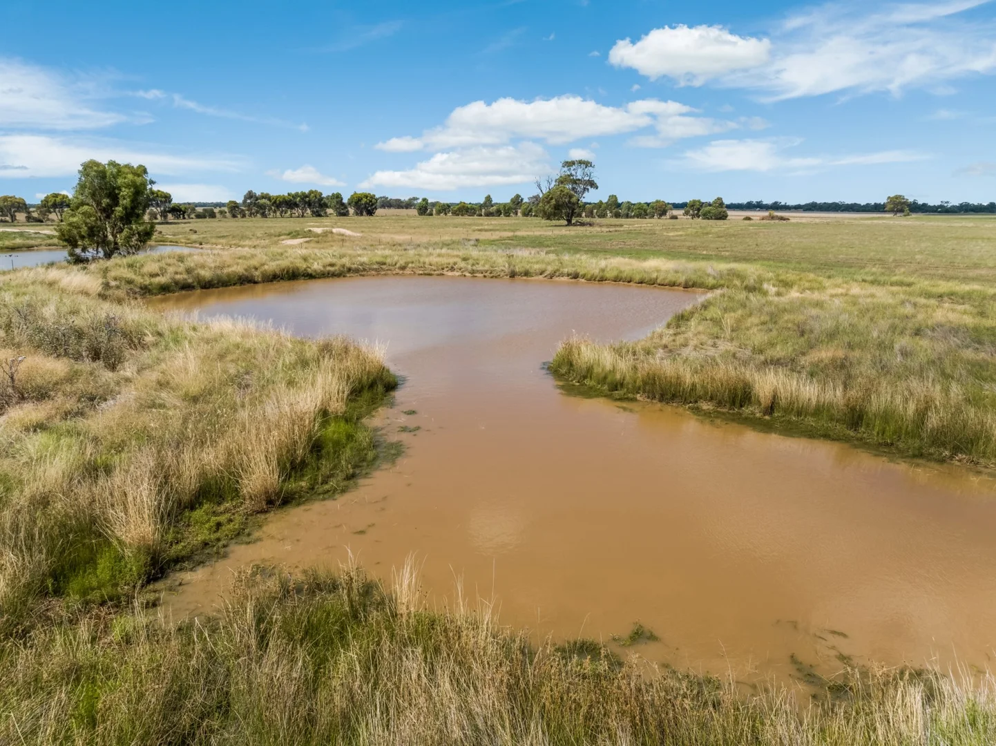 0 Inglewood-Powlett Road - Image 5