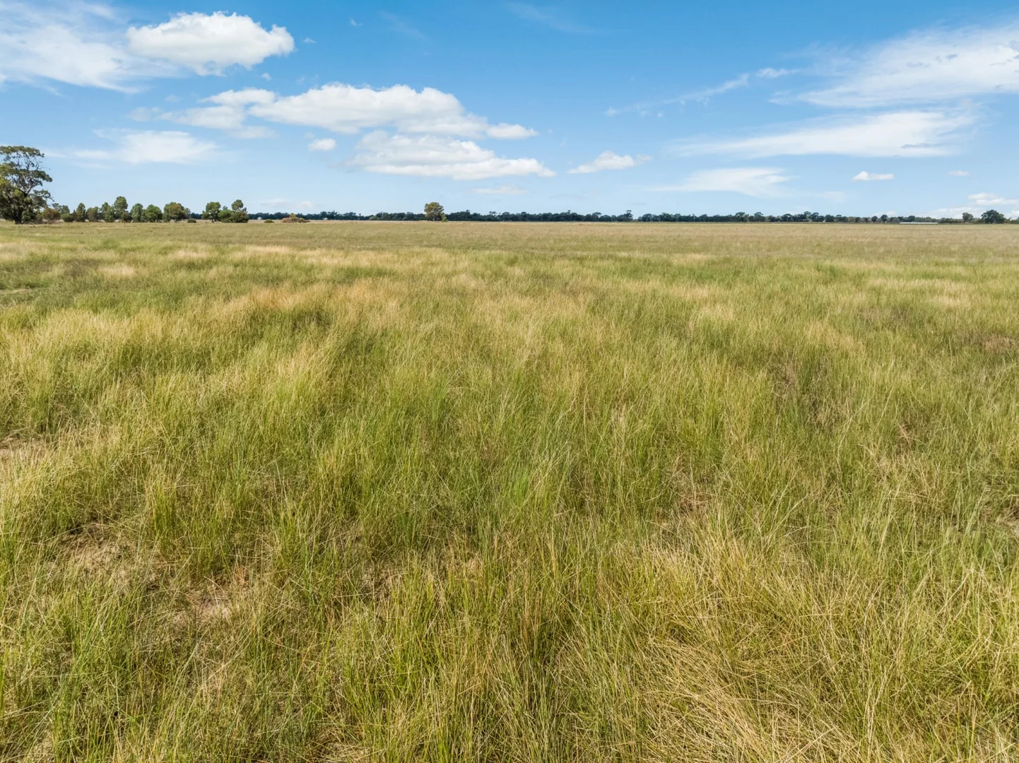 0 Inglewood-Powlett Road - Image 3