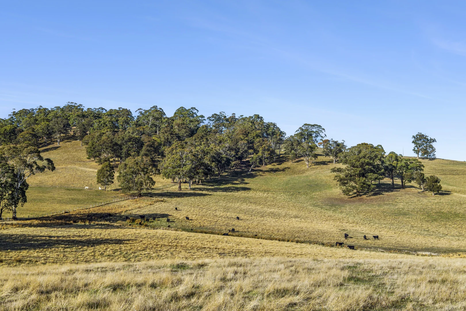 1/104 Holcombe Road - Image 5