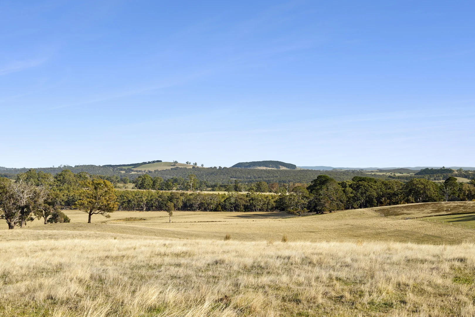 1/104 Holcombe Road - Image 3