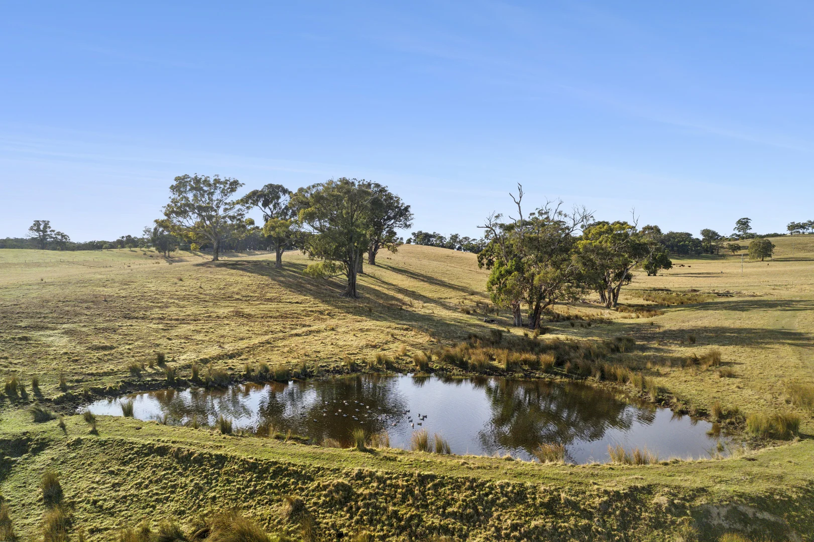 1/104 Holcombe Road - Image 4