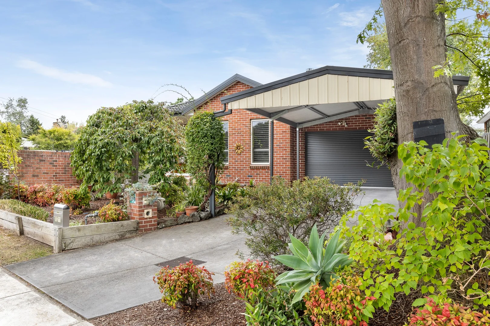 1/11 William Road (1/11)