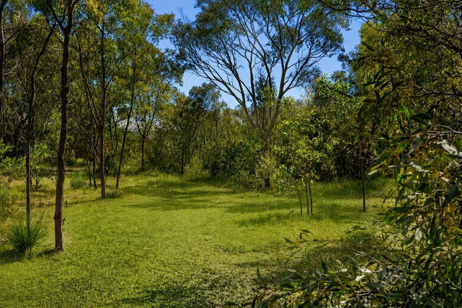 1/38 Coolamon Close - Image 3