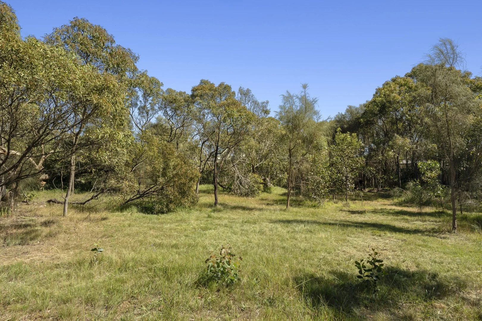 1/38 Coolamon Close - Image 4
