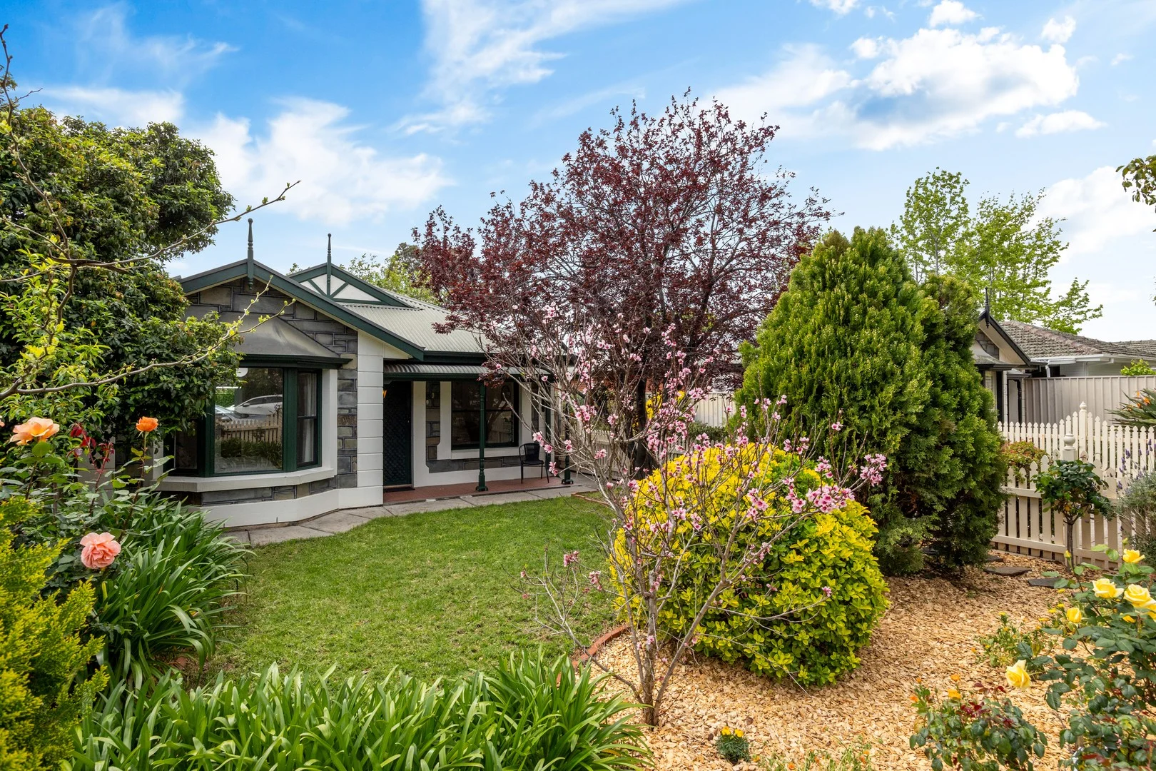 1/62 Wattle Street (1/17)