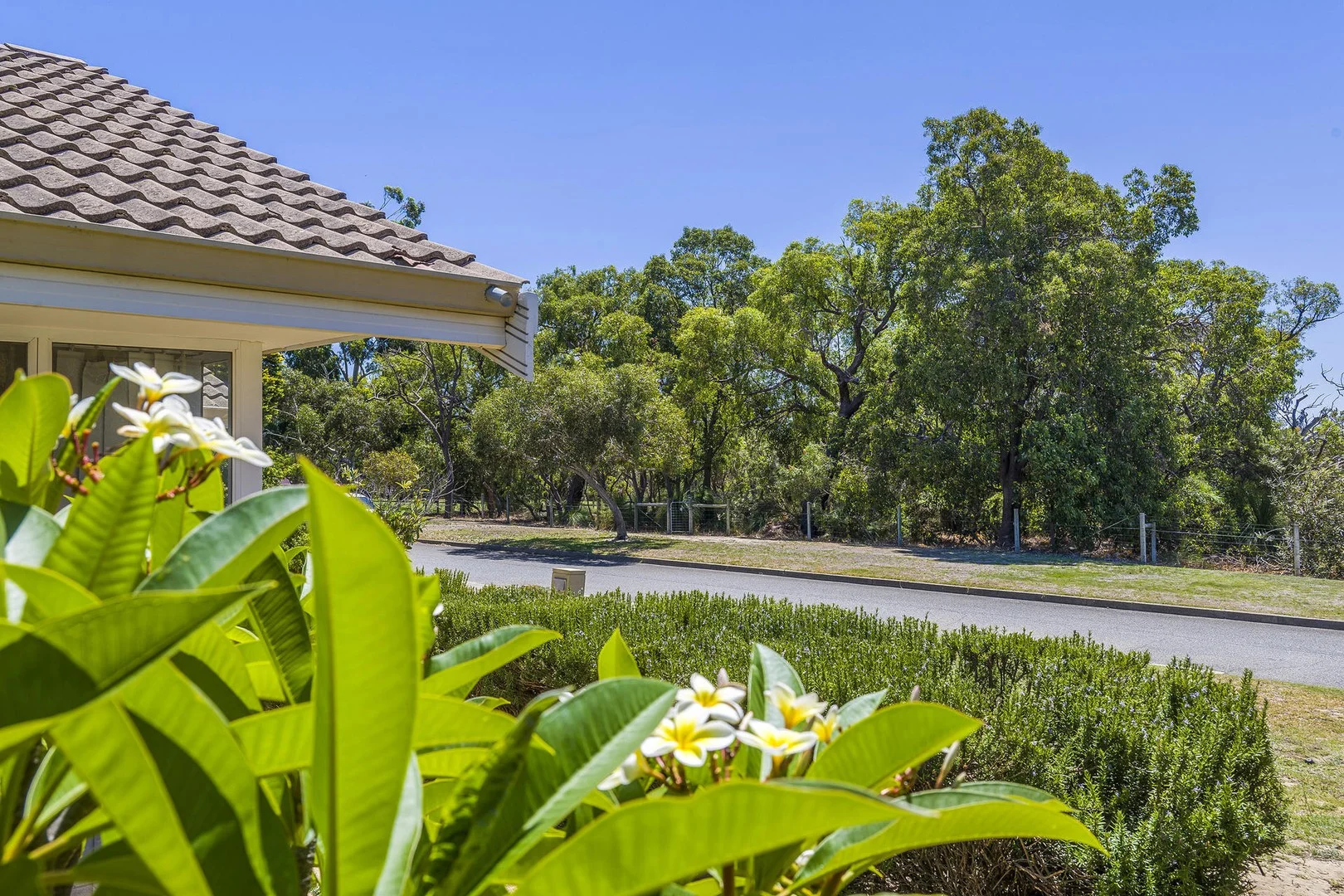 1 Thistle Court (1/37)
