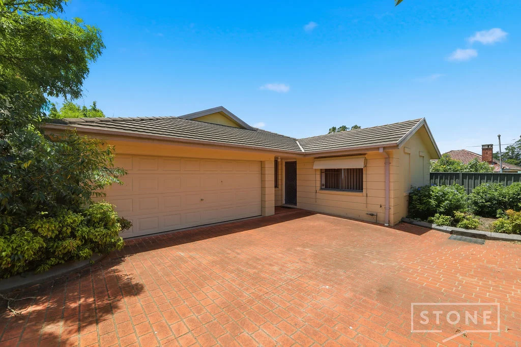 10/16 Brabyn Street (1/11)
