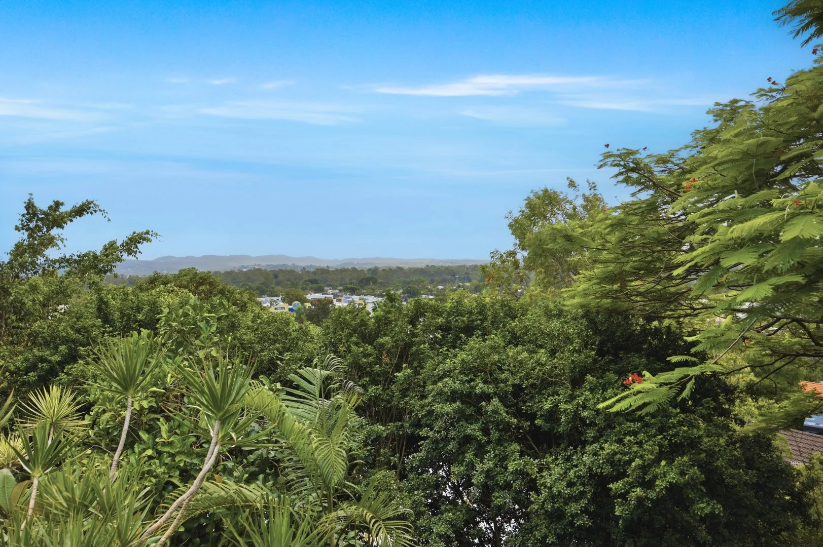 10 Buller Court (1/18)