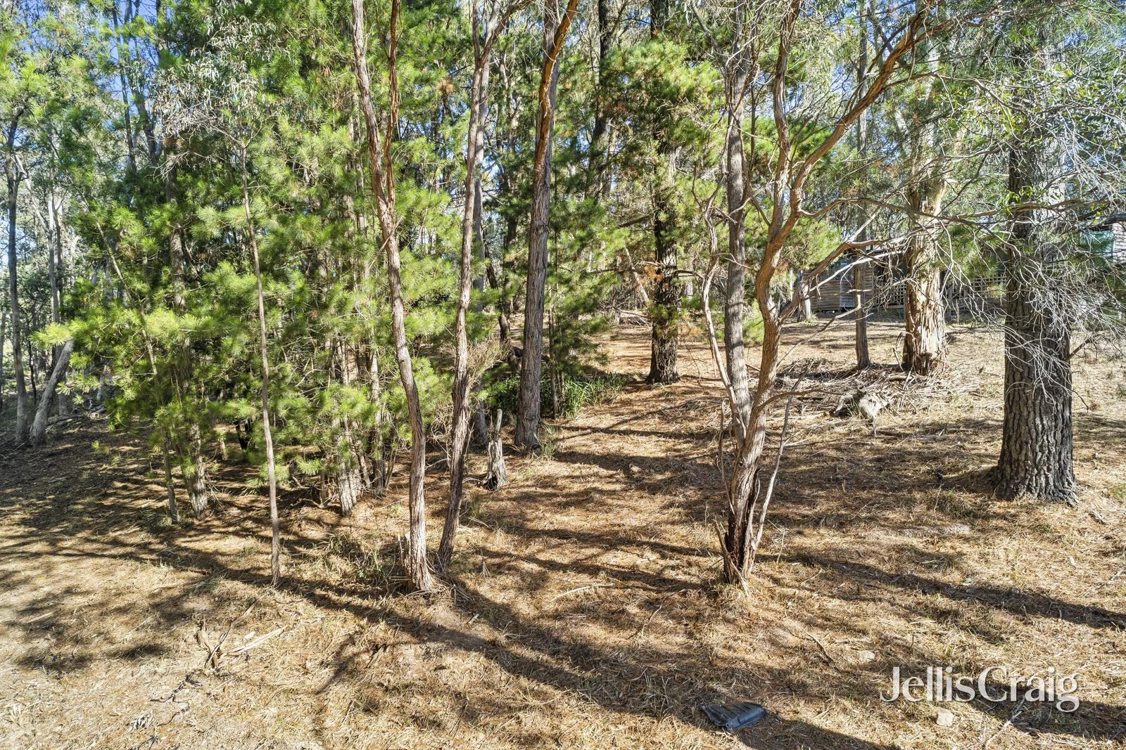 10 Connells Gully Road - Image 5