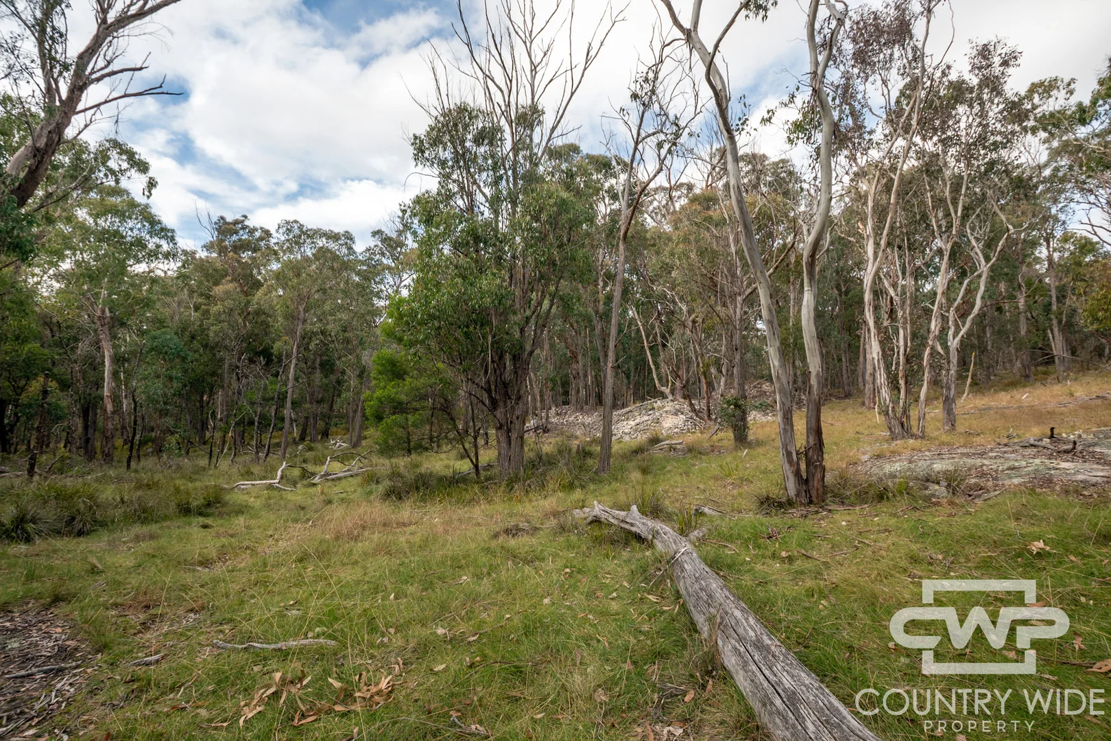 10 Tablelands Road - Image 5