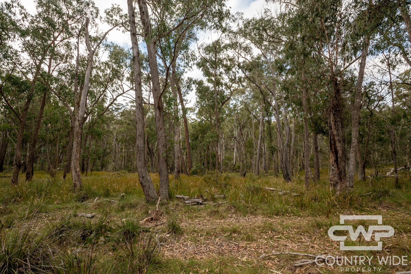 10 Tablelands Road - Image 3