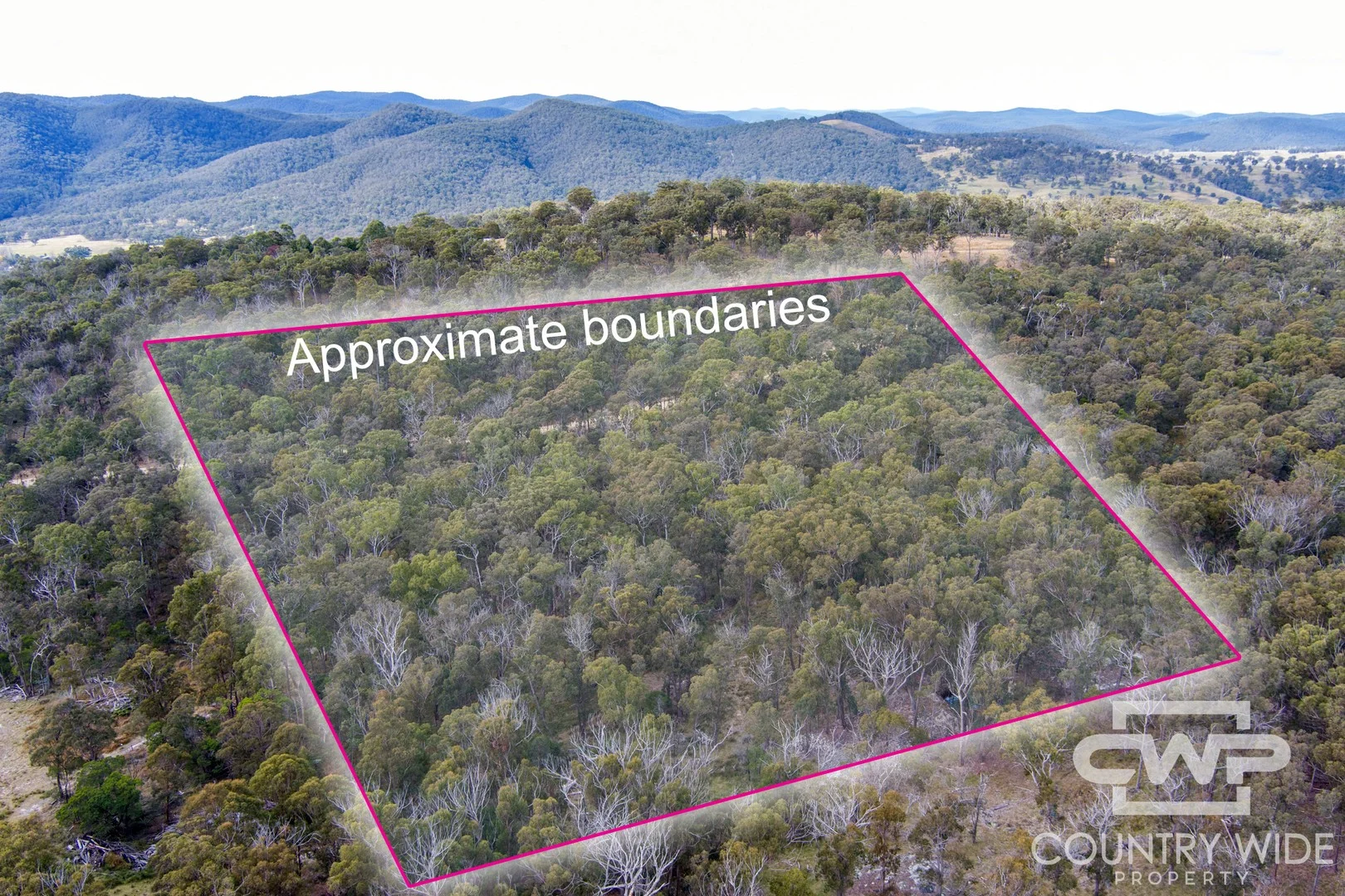 10 Tablelands Road (1/10)