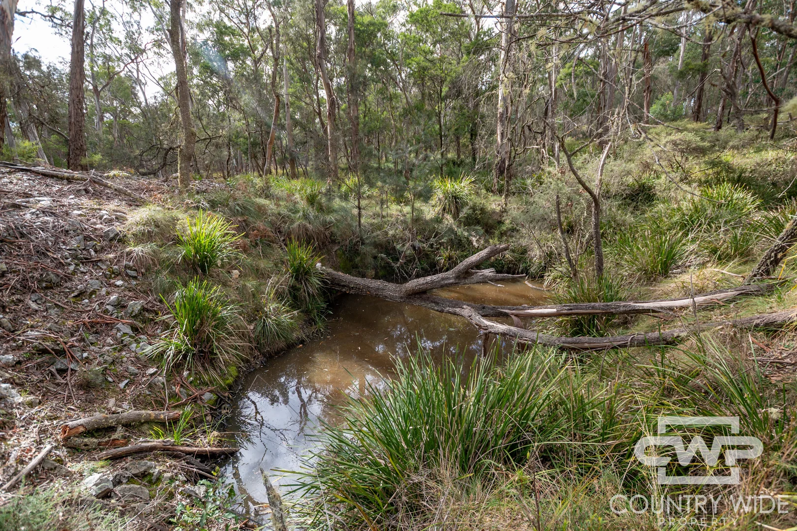10 Tablelands Road - Image 4