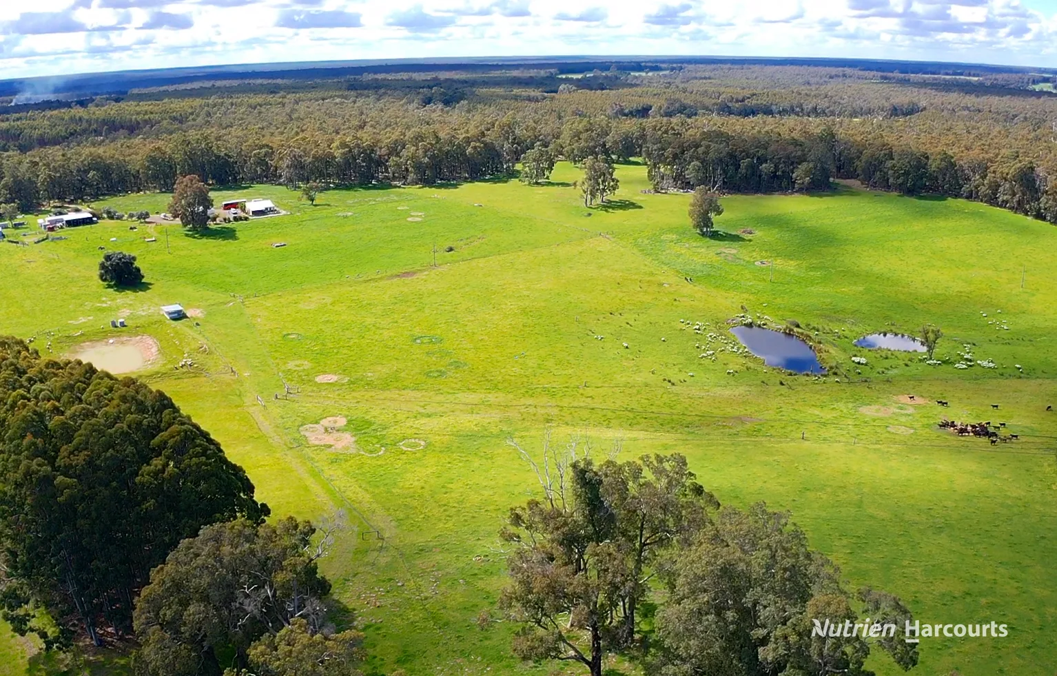 100 Wilga Road - Image 5