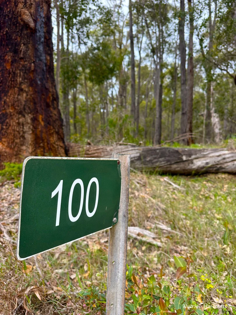 100 Wilga Road - Image 2