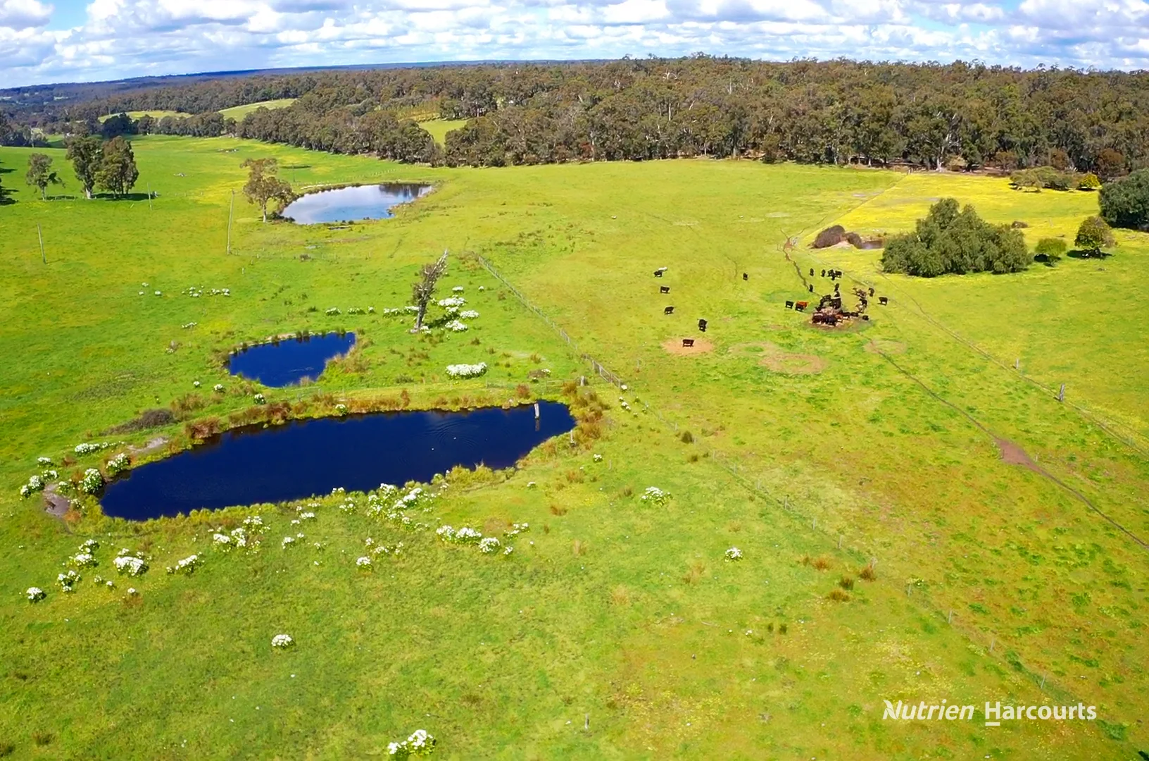 100 Wilga Road - Image 4