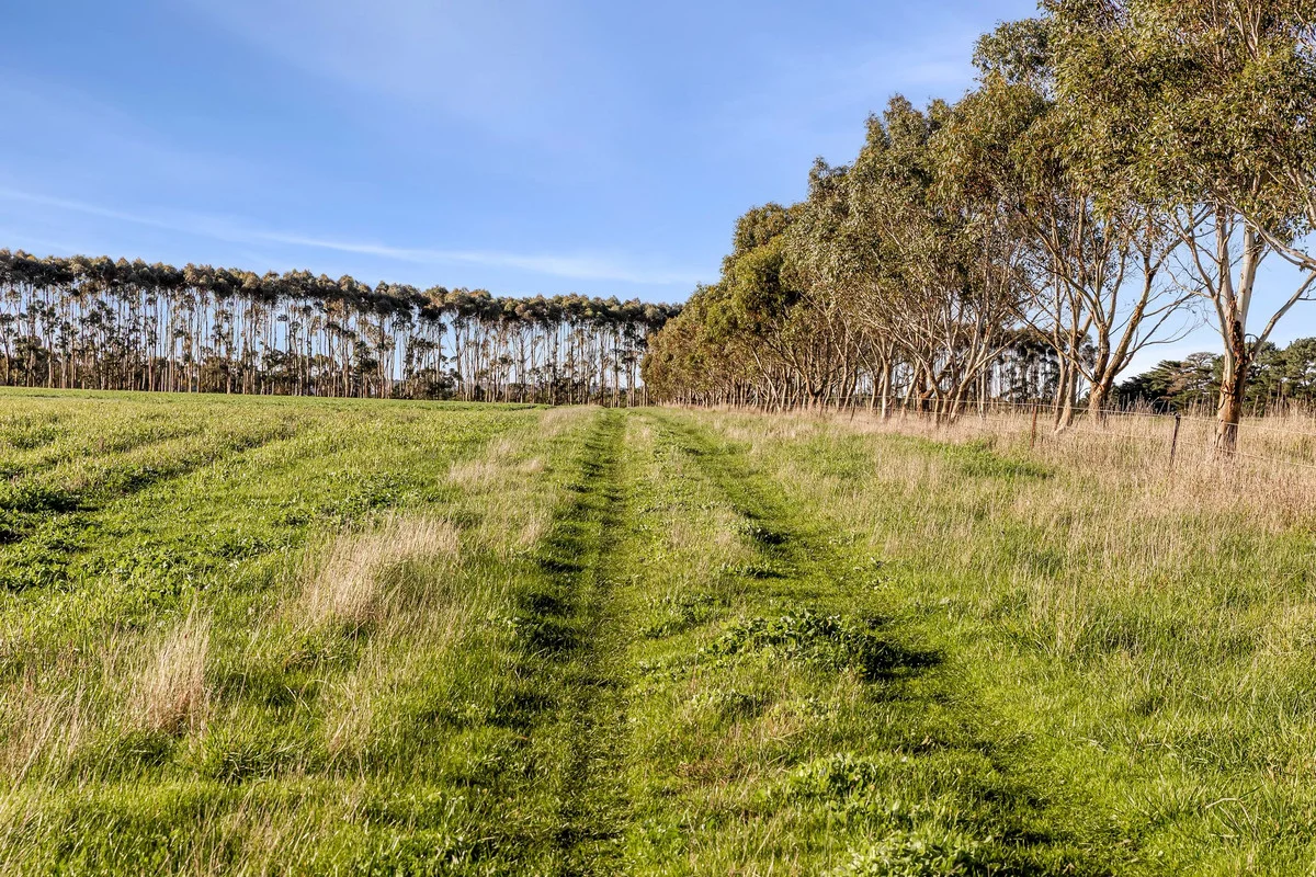 1000 Hendy Main Road - Image 5