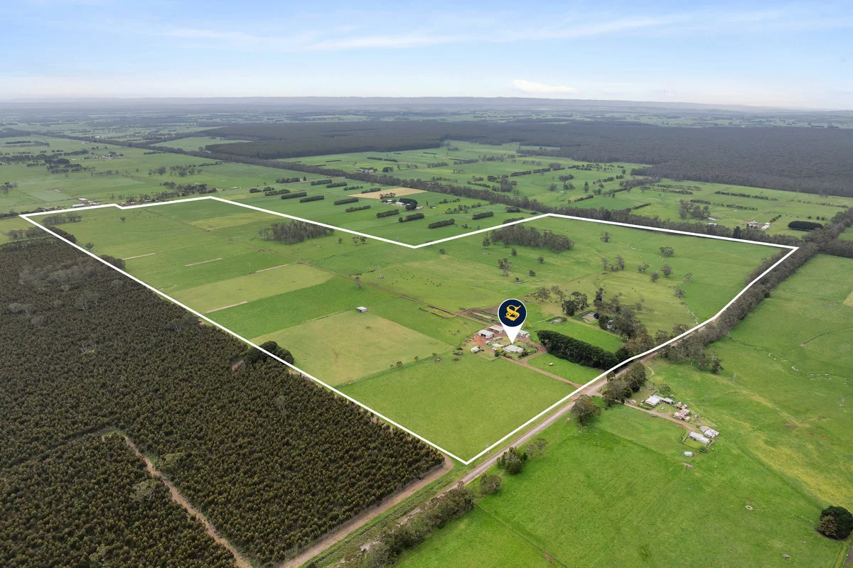 101 Jancourt Forest Road - Image 4