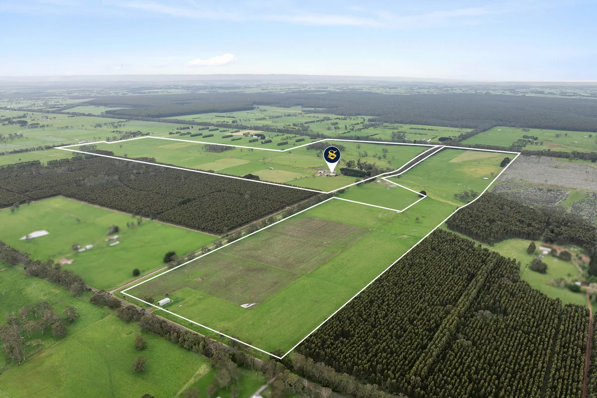 101 Jancourt Forest Road - Image 3