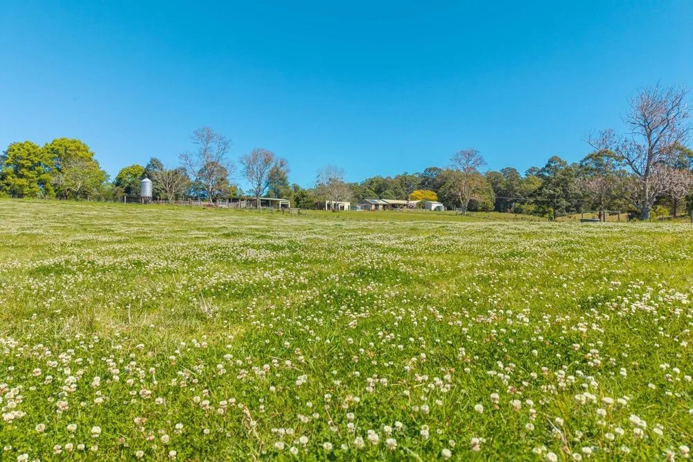 102 Fishers Ridge Rd (1/30)