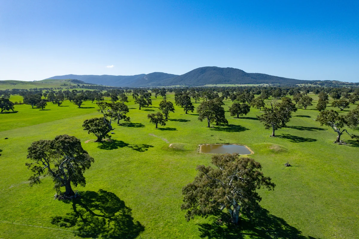 102 Hillman Road - Image 3