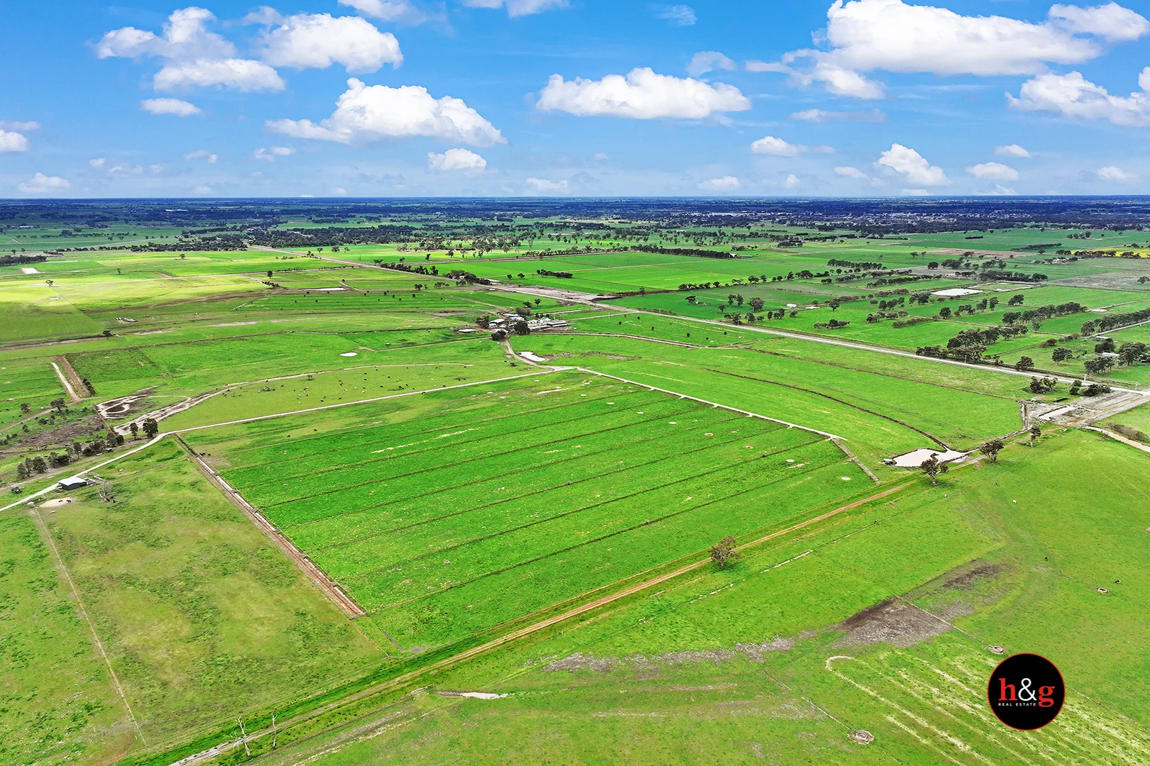 1025 McColl Road - Image 3