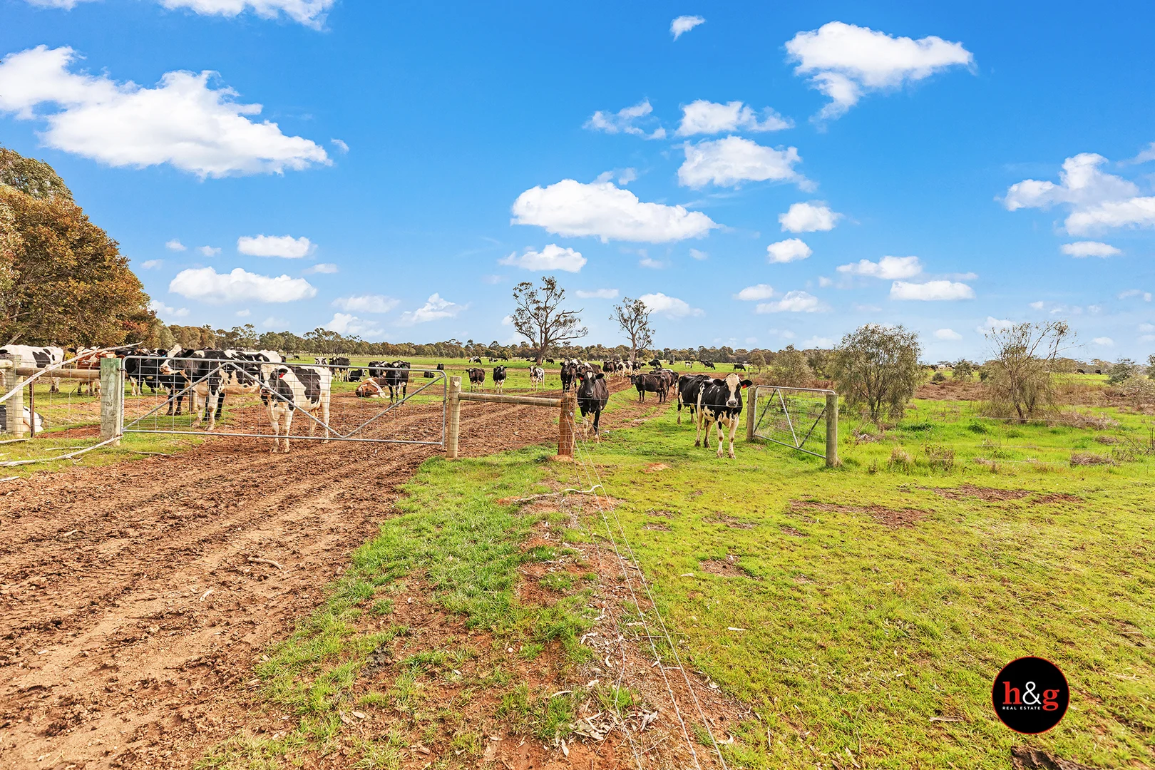1025 McColl Road - Image 4