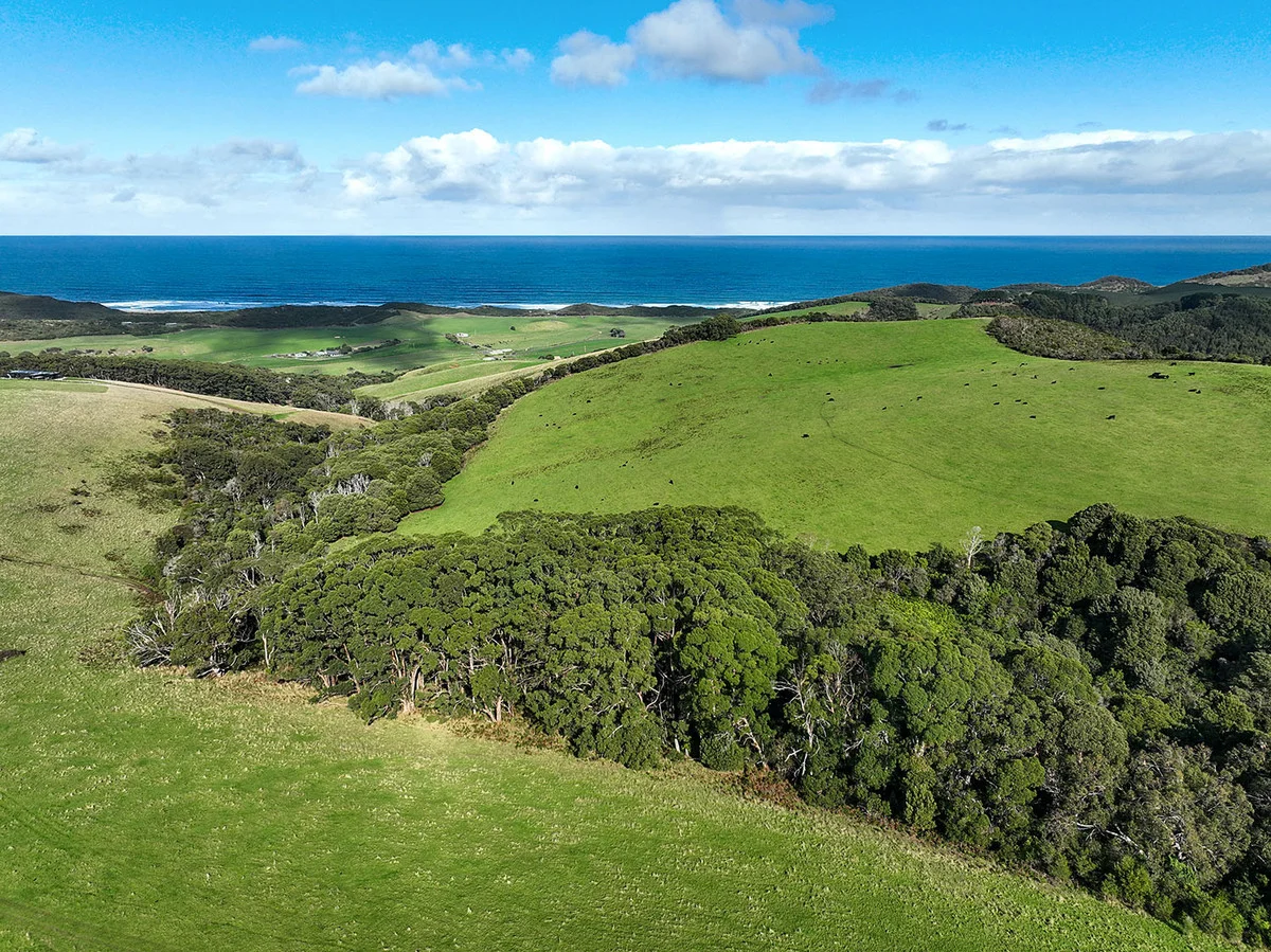 105 Stafford Road - Image 2