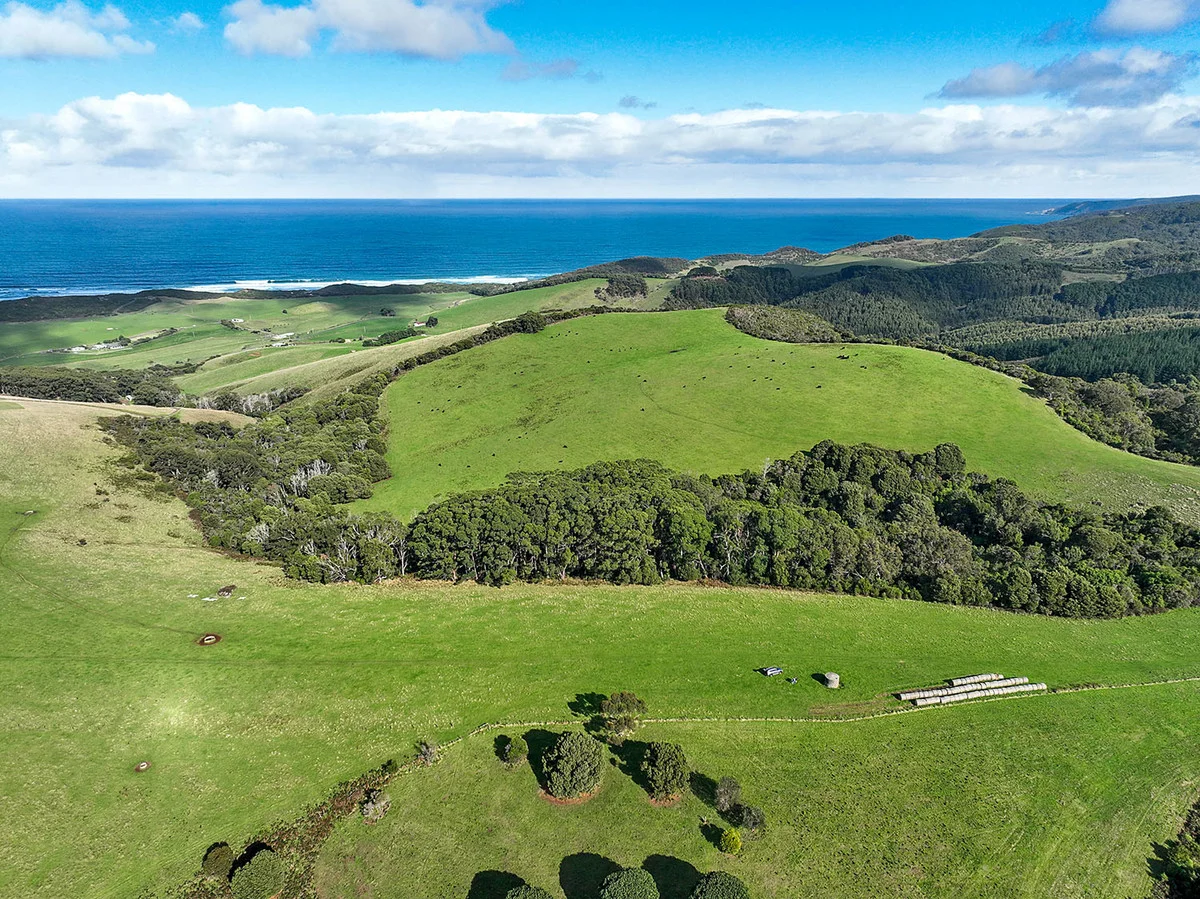 105 Stafford Road - Image 4