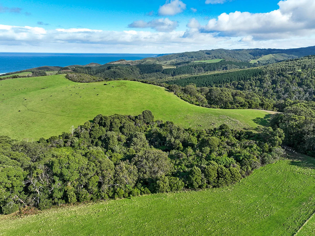 105 Stafford Road - Image 3
