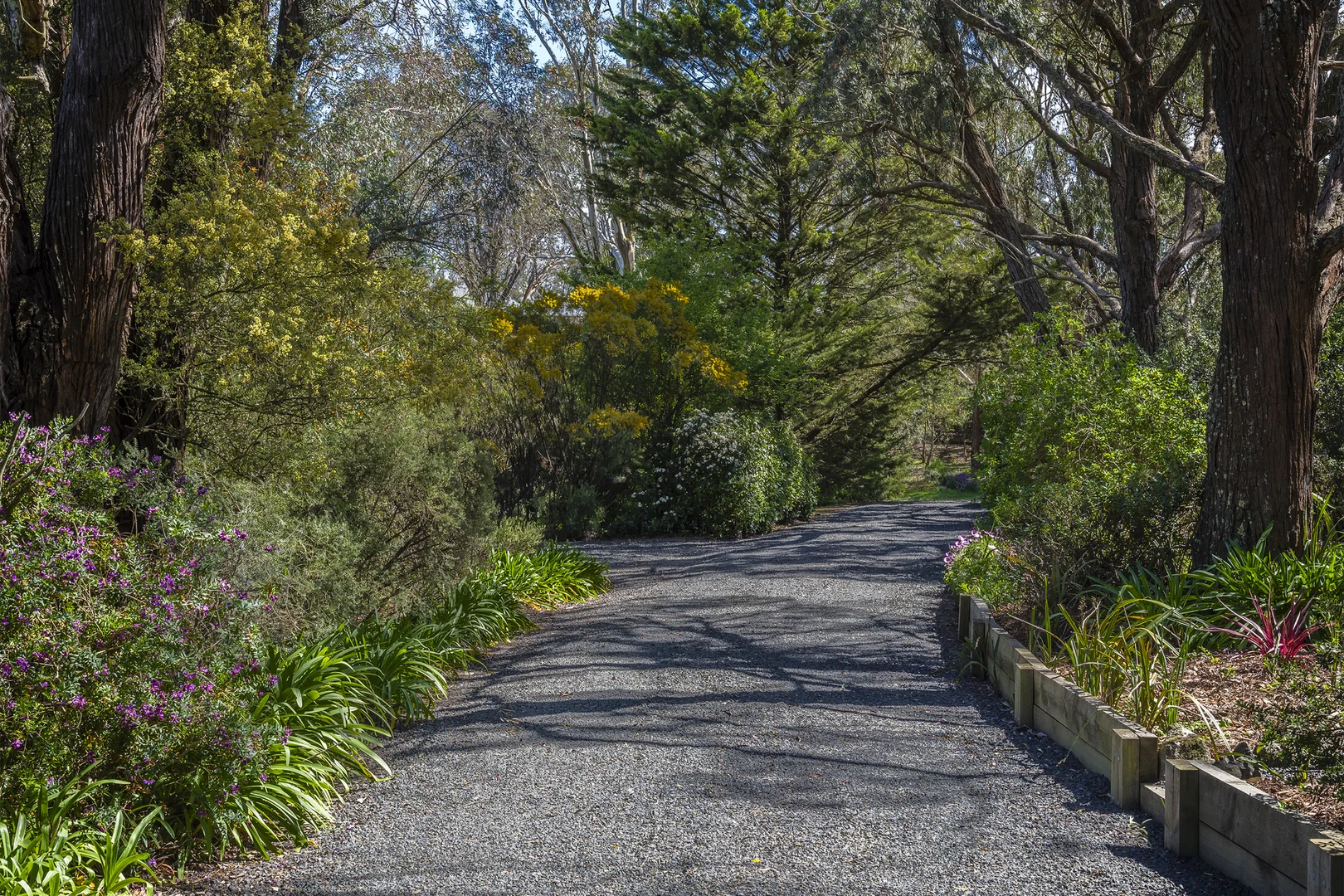 106 Howey Street - Image 3