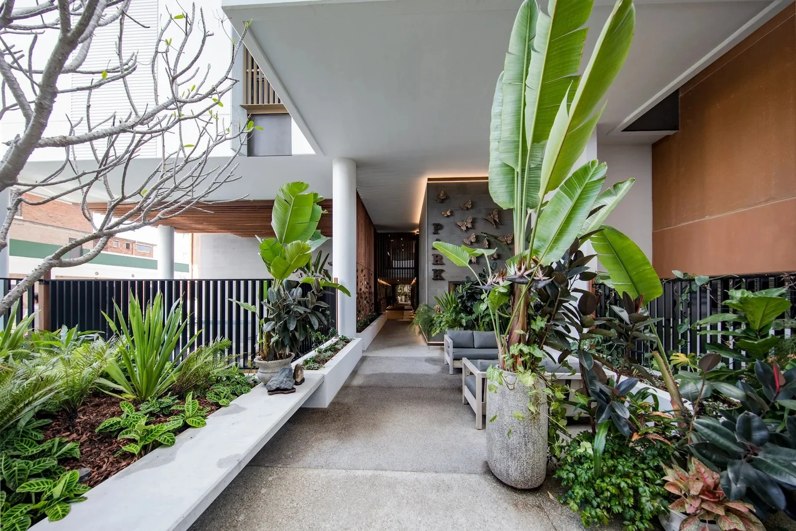 10702/19 Wilson Street (1/17)