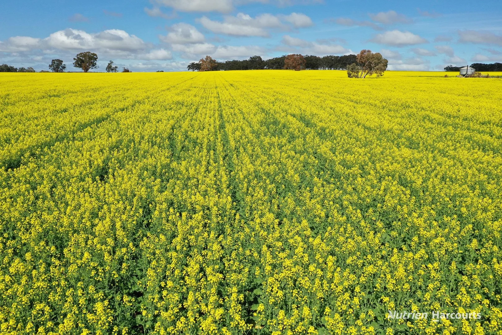 10986 Great Northern Highway - Image 2