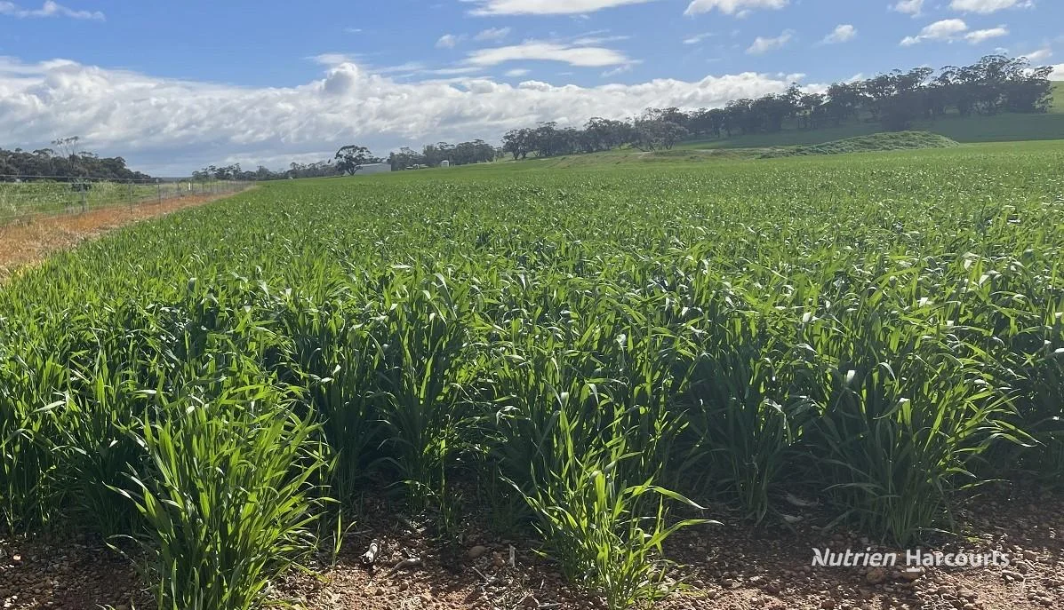 10986 Great Northern Highway - Image 3