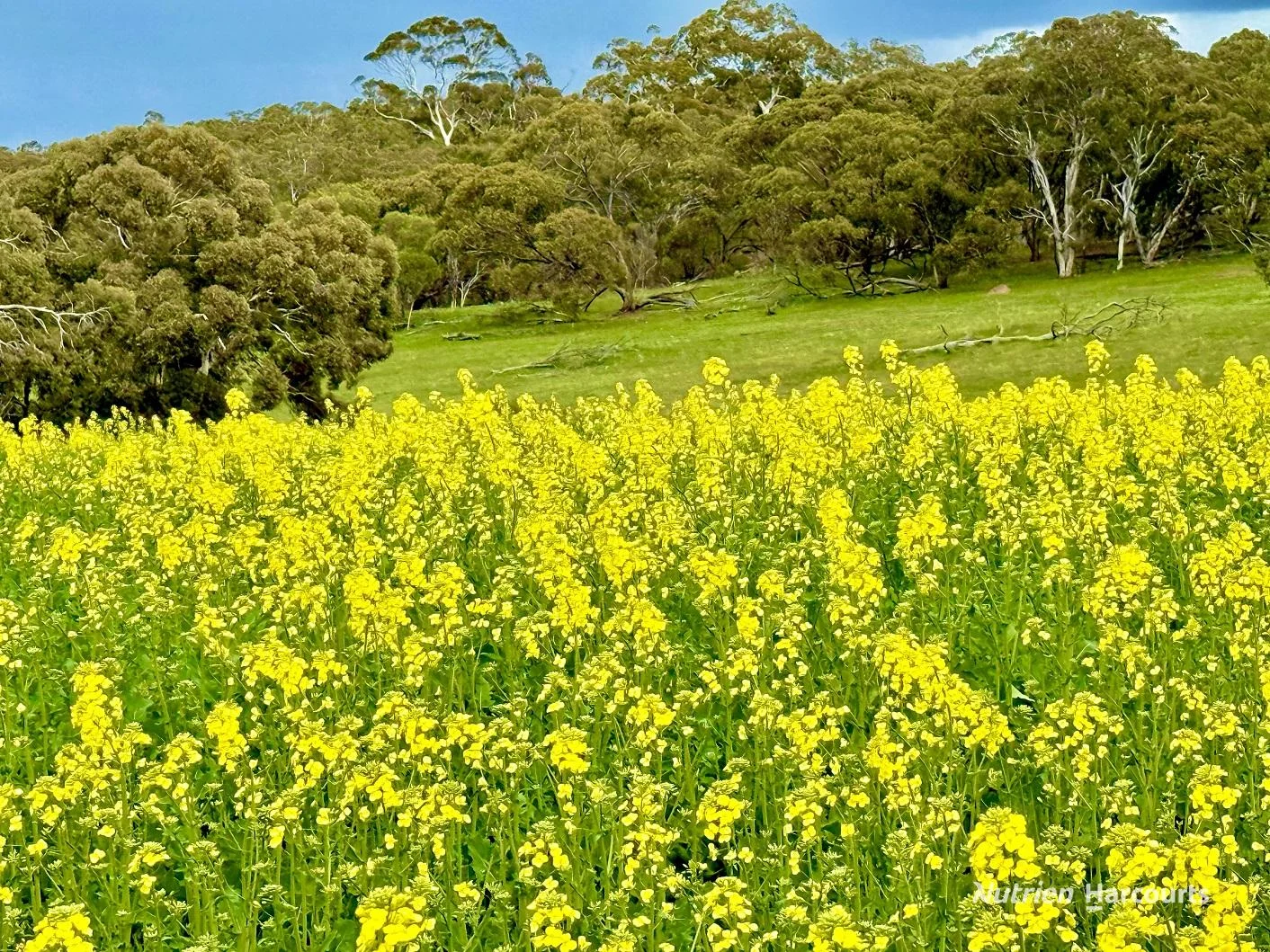 10986 Great Northern Highway - Image 5