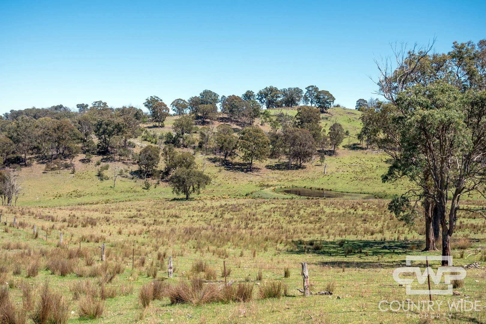 11 - Image 5