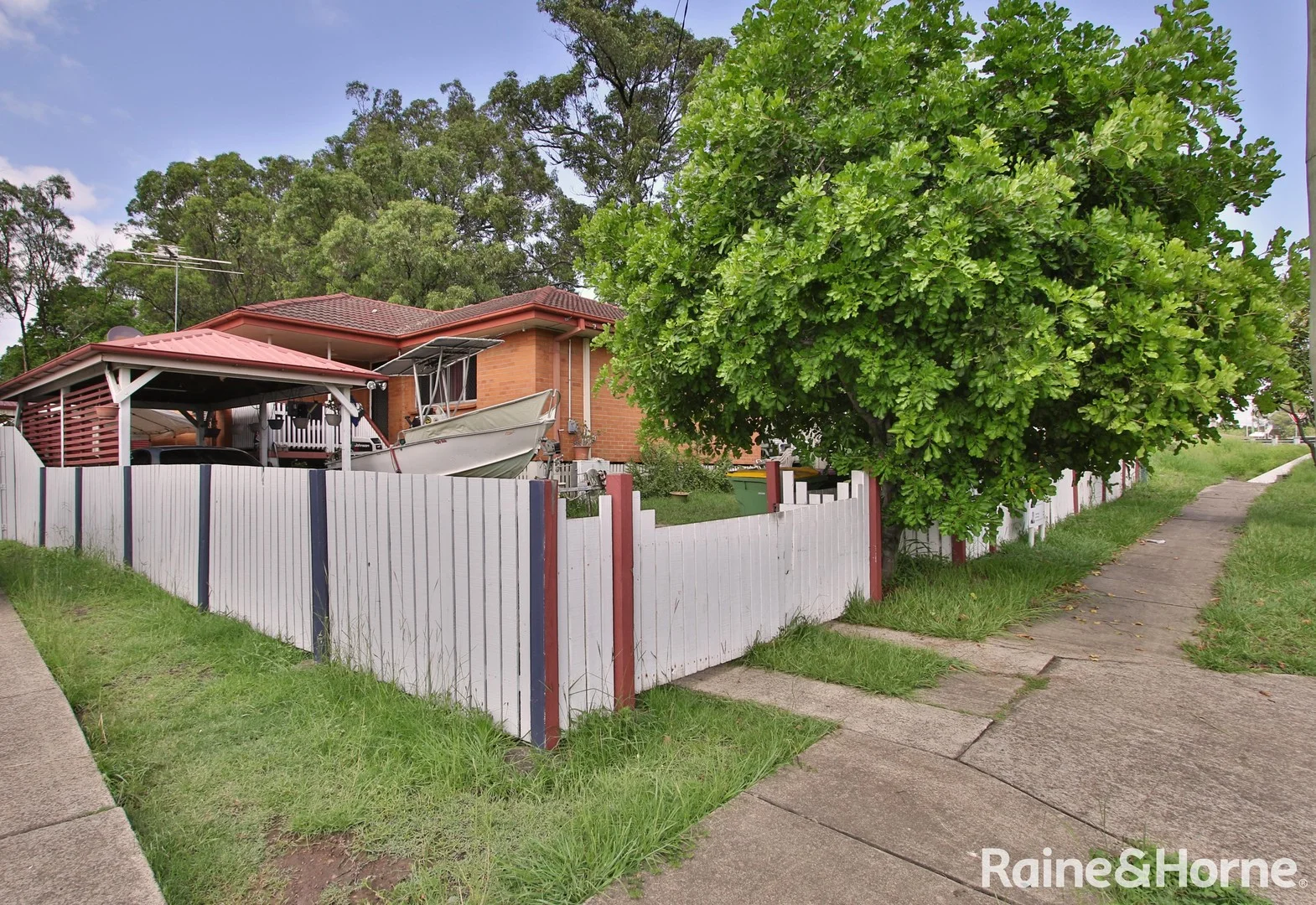 11 Lucas Street (1/1)