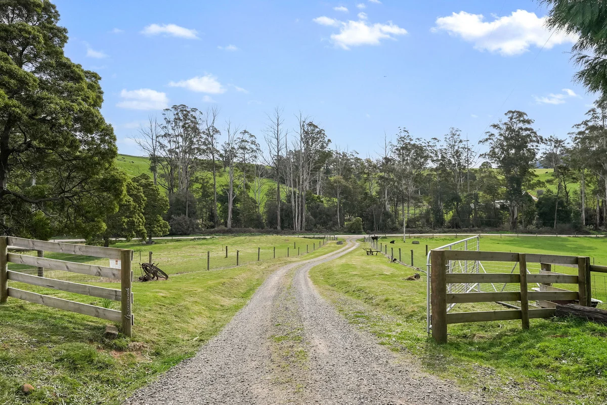 11 Maurice Road - Image 4