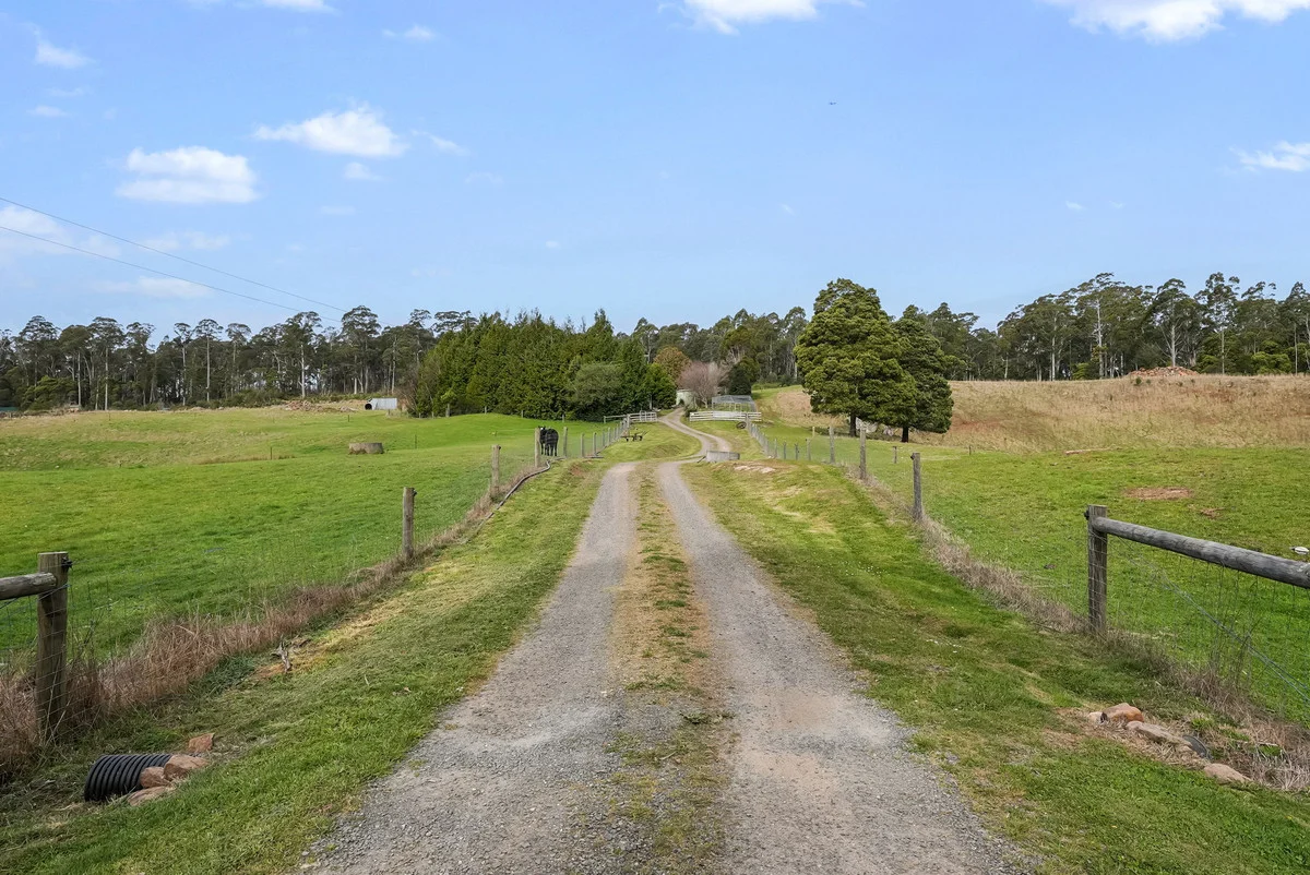 11 Maurice Road - Image 3